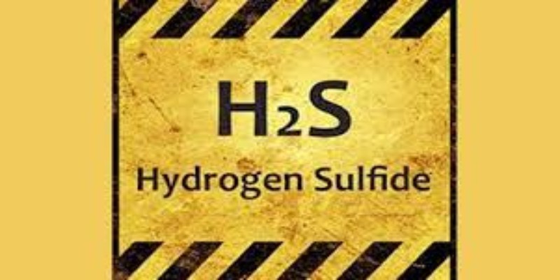 HYDROGEN SULFIDE COMPETENT (H2S) / RESPIRATORY PROTECTION